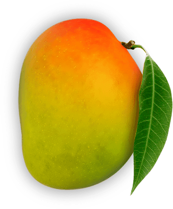orignal mango